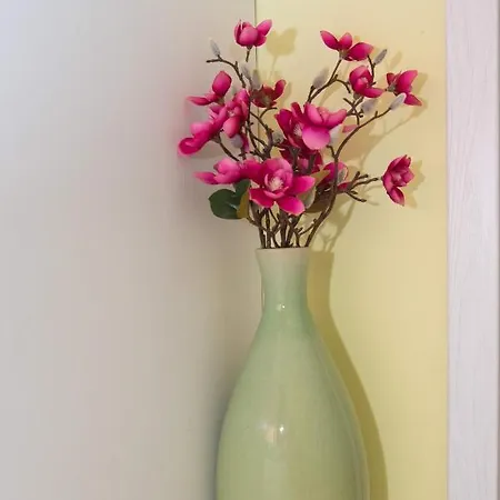 луксозен влас аристо Apartmán