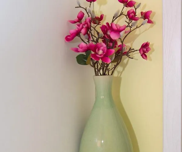 луксозен влас аристо דירה